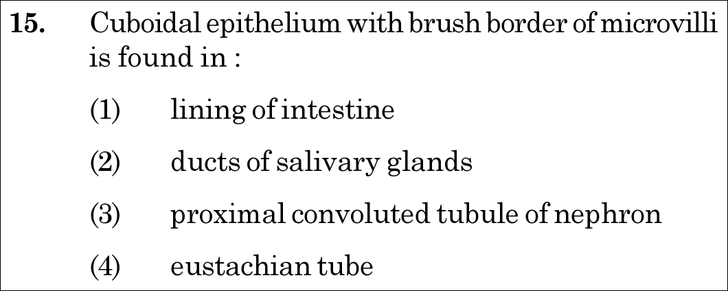 NEET 2020 Botany Question 15