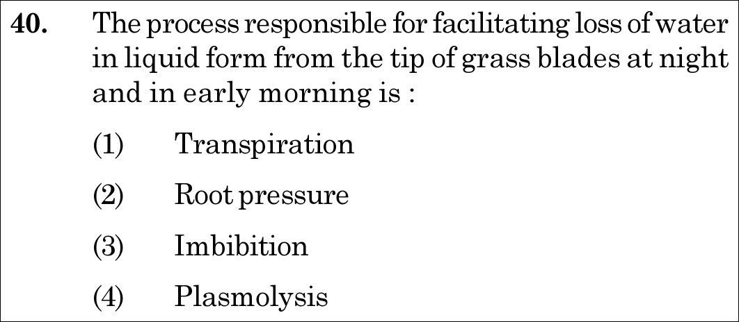 NEET 2020 Botany Question 40