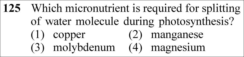 NEET 2023 Botany Question 125