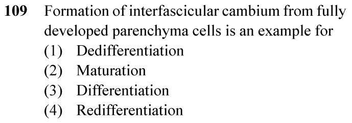 NEET 2024 Botany Question 109