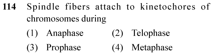 NEET 2024 Botany Question 114