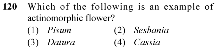 NEET 2024 Botany Question 120