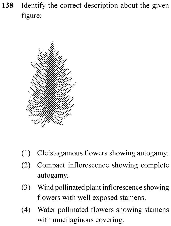 NEET 2024 Botany Question 138