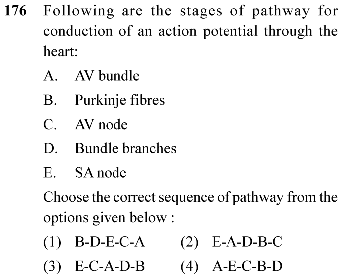 NEET 2024 zoology Question 176
