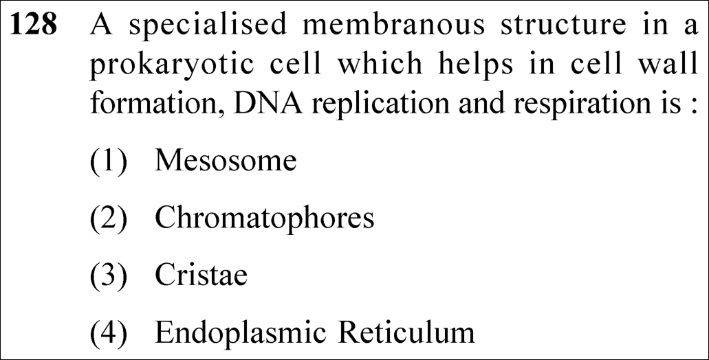 NEET 2025 Botany Question 128