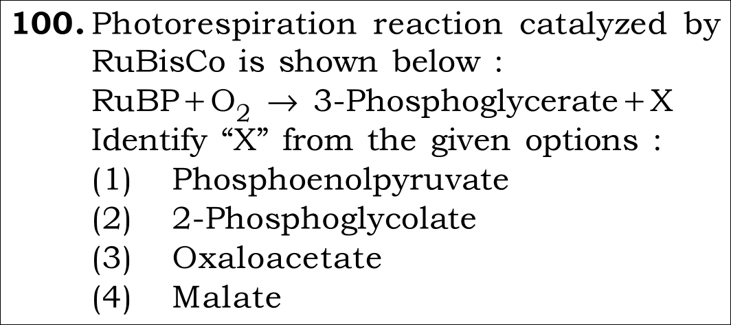 NEET 2026 Botany Question 100